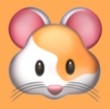 WWW,yyy81·COM网站APPAPP应用